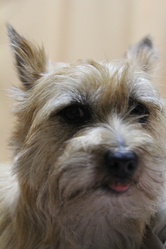 2011070929.jpg
