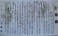 221127 虹潤橋3