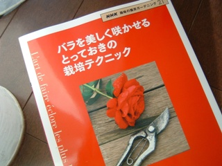 book6.jpg