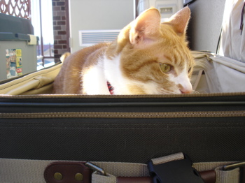 スーツケース３